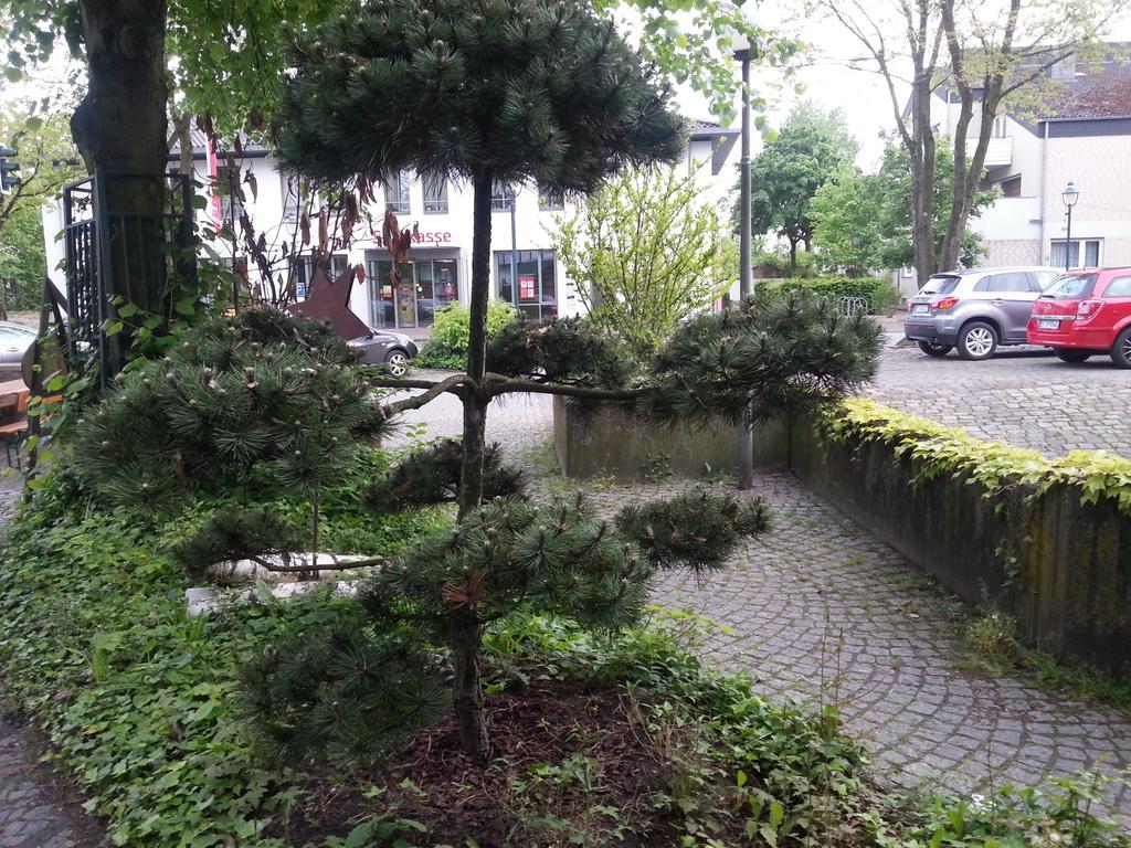 Gasthof Altes Farmhaus Und Apartment Lienen Bagian luar foto